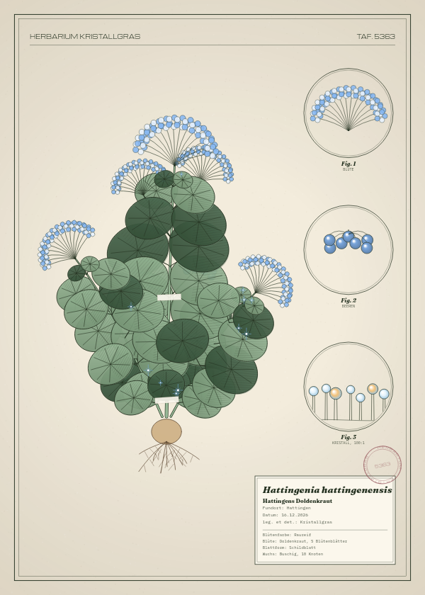 Botanische Tafel: Hattingenia hattingenensis, eine erfundene Pflanze aus Hattingen, gezeichnet wie in einem alten Pflanzenatlas