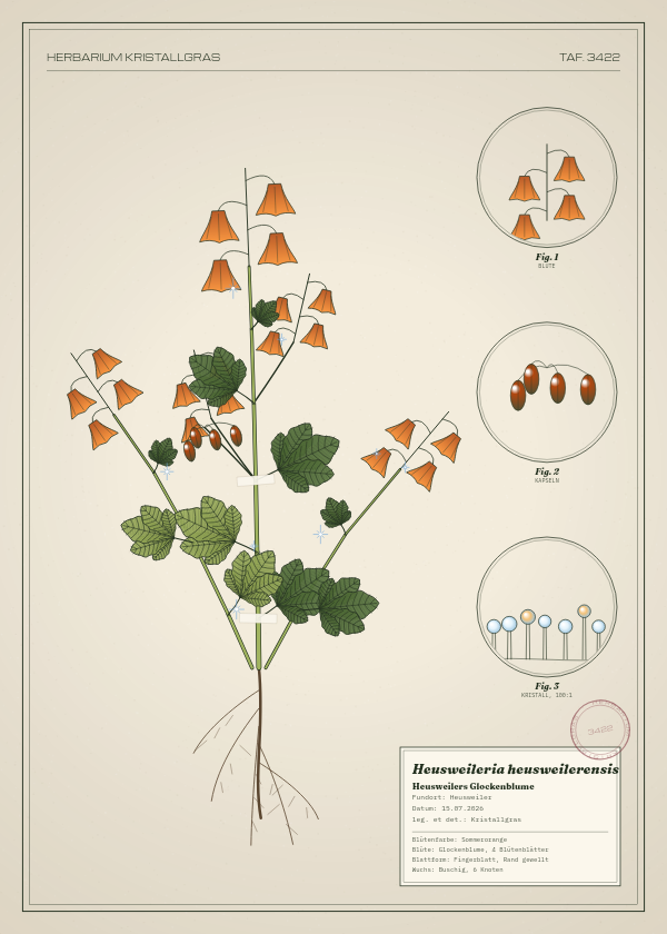 Botanische Tafel: Heusweileria heusweilerensis, eine erfundene Pflanze aus Heusweiler, gezeichnet wie in einem alten Pflanzenatlas