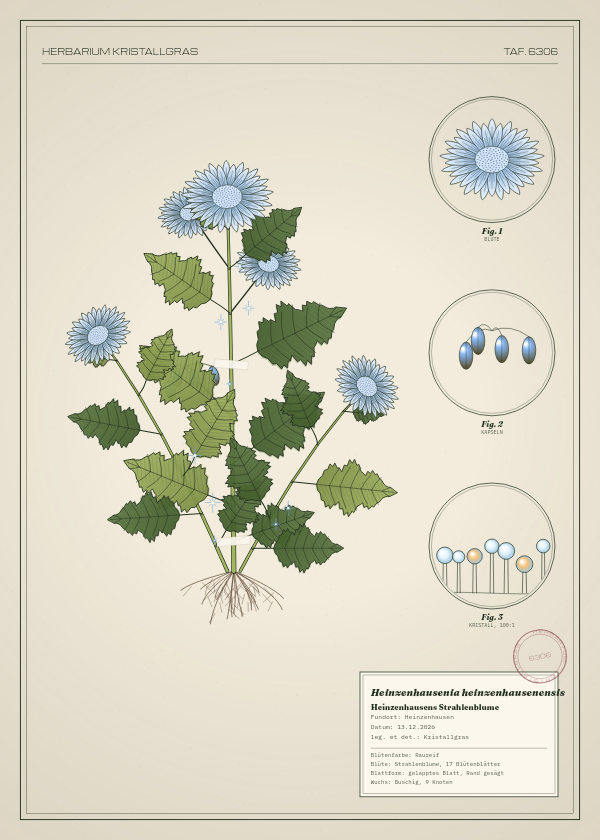 Botanische Tafel: Heinzenhausenia heinzenhausenensis, eine erfundene Pflanze aus Heinzenhausen, gezeichnet wie in einem alten Pflanzenatlas