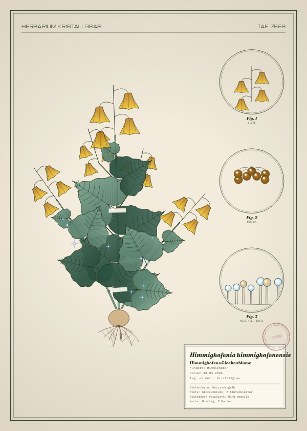 Botanische Tafel: Himmighofenia himmighofenensis, eine erfundene Pflanze aus Himmighofen, gezeichnet wie in einem alten Pflanzenatlas