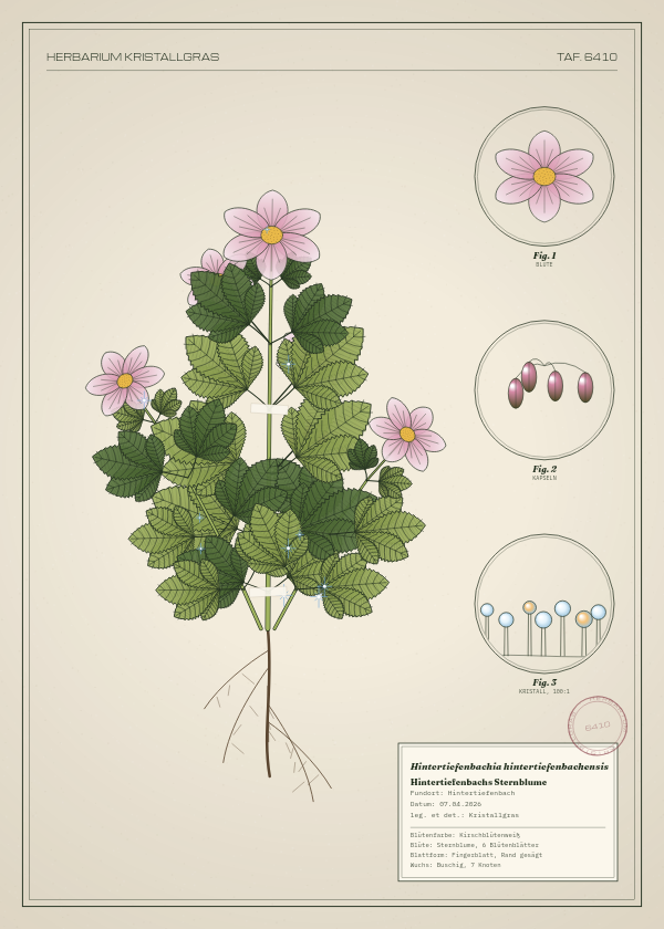 Botanische Tafel: Hintertiefenbachia hintertiefenbachensis, eine erfundene Pflanze aus Hintertiefenbach, gezeichnet wie in einem alten Pflanzenatlas