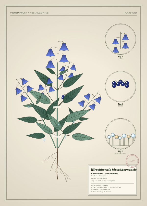 Botanische Tafel: Hirschhornia hirschhornensis, eine erfundene Pflanze aus Hirschhorn, gezeichnet wie in einem alten Pflanzenatlas