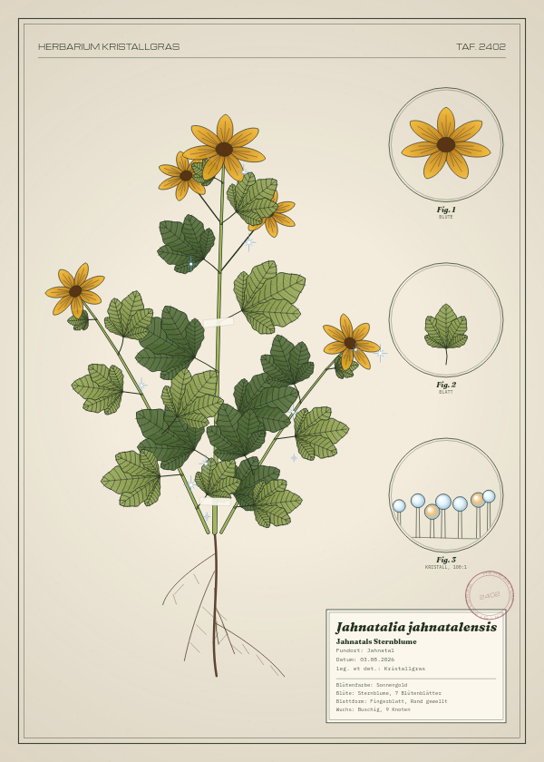 Botanische Tafel: Jahnatalia jahnatalensis, eine erfundene Pflanze aus Jahnatal, gezeichnet wie in einem alten Pflanzenatlas