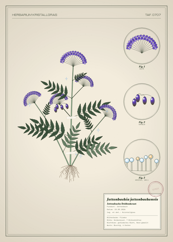 Botanische Tafel: Jettenbachia jettenbachensis, eine erfundene Pflanze aus Jettenbach, gezeichnet wie in einem alten Pflanzenatlas