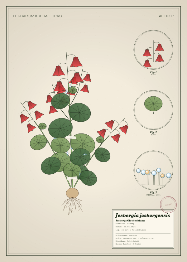 Botanische Tafel: Jesbergia jesbergensis, eine erfundene Pflanze aus Jesberg, gezeichnet wie in einem alten Pflanzenatlas