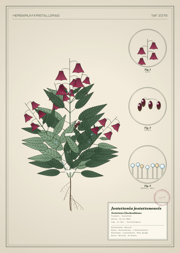 Botanische Tafel: Jestettenia jestettenensis, eine erfundene Pflanze aus Jestetten, gezeichnet wie in einem alten Pflanzenatlas