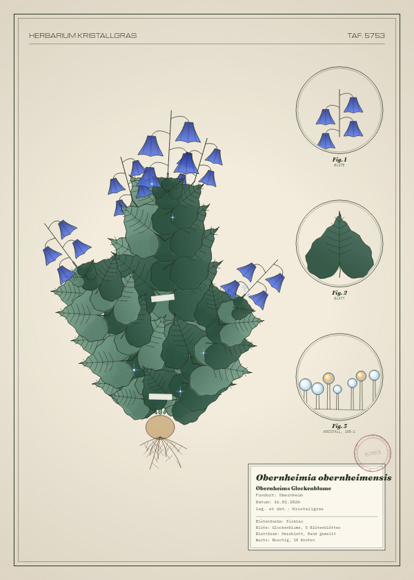 Botanische Tafel: Obernheimia obernheimensis, eine erfundene Pflanze aus Obernheim, gezeichnet wie in einem alten Pflanzenatlas