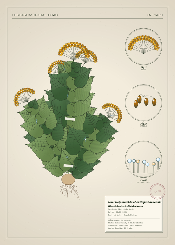 Botanische Tafel: Obertiefenbachia obertiefenbachensis, eine erfundene Pflanze aus Obertiefenbach, gezeichnet wie in einem alten Pflanzenatlas