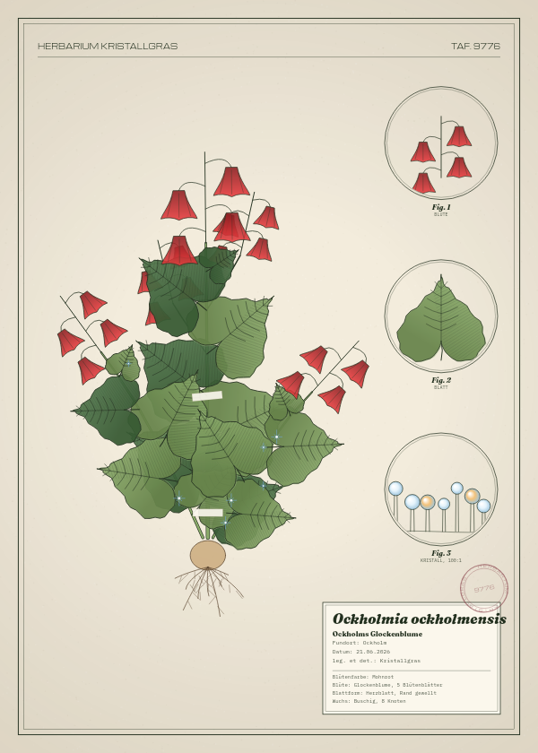 Botanische Tafel: Ockholmia ockholmensis, eine erfundene Pflanze aus Ockholm, gezeichnet wie in einem alten Pflanzenatlas