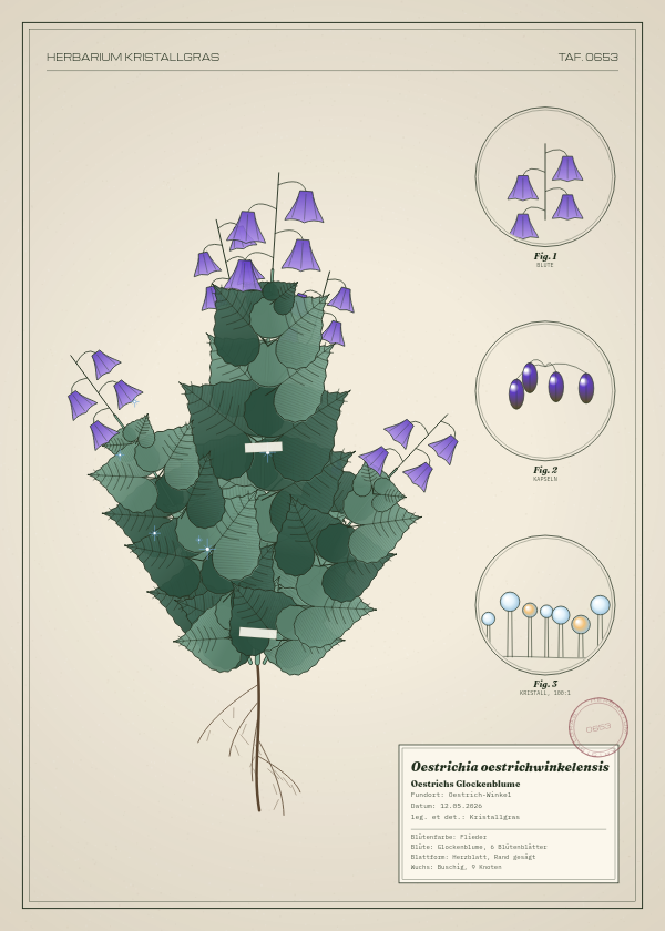 Botanische Tafel: Oestrichia oestrichwinkelensis, eine erfundene Pflanze aus Oestrich-Winkel, gezeichnet wie in einem alten Pflanzenatlas