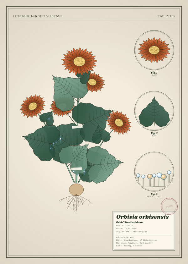 Botanische Tafel: Orbisia orbisensis, eine erfundene Pflanze aus Orbis, gezeichnet wie in einem alten Pflanzenatlas