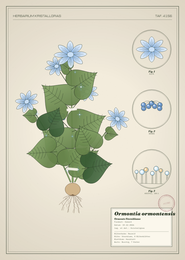 Botanische Tafel: Ormontia ormontensis, eine erfundene Pflanze aus Ormont, gezeichnet wie in einem alten Pflanzenatlas
