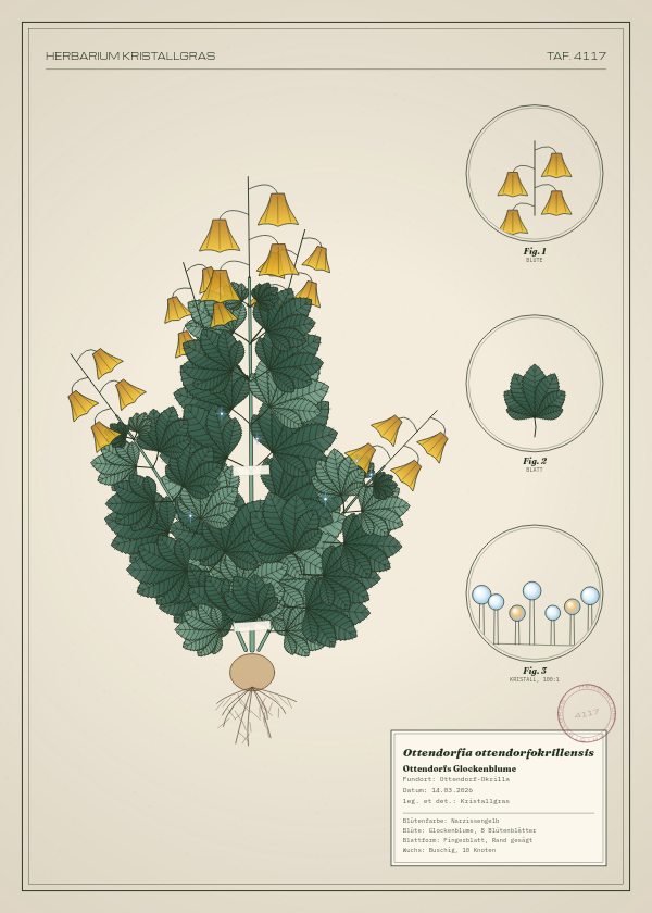 Botanische Tafel: Ottendorfia ottendorfokrillensis, eine erfundene Pflanze aus Ottendorf-Okrilla, gezeichnet wie in einem alten Pflanzenatlas