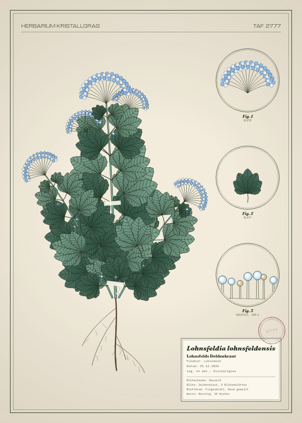 Botanische Tafel: Lohnsfeldia lohnsfeldensis, eine erfundene Pflanze aus Lohnsfeld, gezeichnet wie in einem alten Pflanzenatlas
