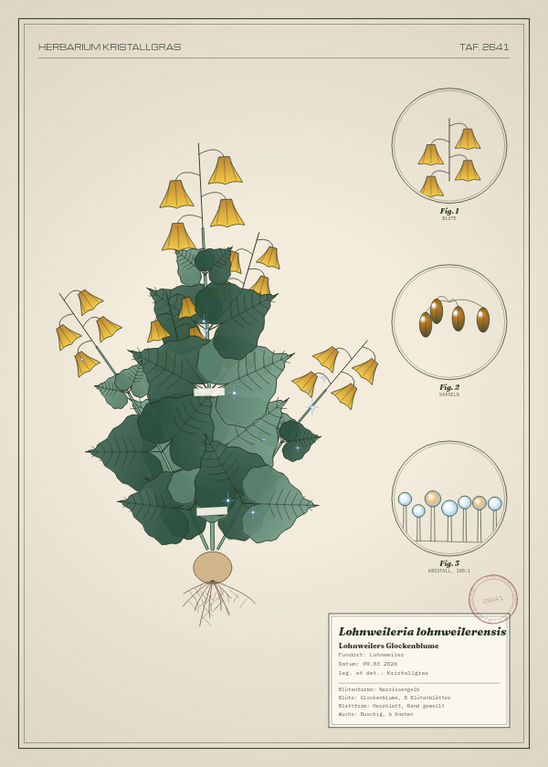 Botanische Tafel: Lohnweileria lohnweilerensis, eine erfundene Pflanze aus Lohnweiler, gezeichnet wie in einem alten Pflanzenatlas