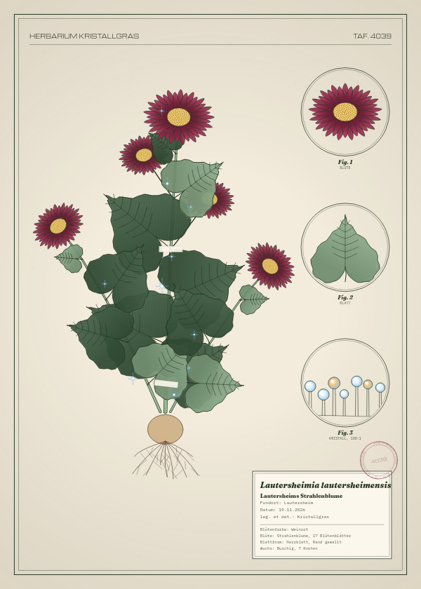 Botanische Tafel: Lautersheimia lautersheimensis, eine erfundene Pflanze aus Lautersheim, gezeichnet wie in einem alten Pflanzenatlas