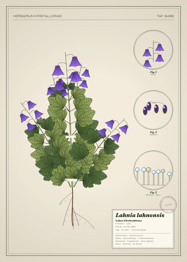 Botanische Tafel: Lahnia lahnensis, eine erfundene Pflanze aus Lahn, gezeichnet wie in einem alten Pflanzenatlas