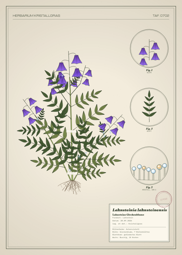 Botanische Tafel: Lahnsteinia lahnsteinensis, eine erfundene Pflanze aus Lahnstein, gezeichnet wie in einem alten Pflanzenatlas