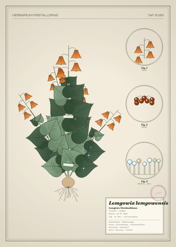 Botanische Tafel: Lemgowia lemgowensis, eine erfundene Pflanze aus Lemgow, gezeichnet wie in einem alten Pflanzenatlas