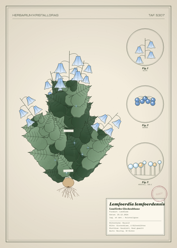 Botanische Tafel: Lemfoerdia lemfoerdensis, eine erfundene Pflanze aus Lemförde, gezeichnet wie in einem alten Pflanzenatlas