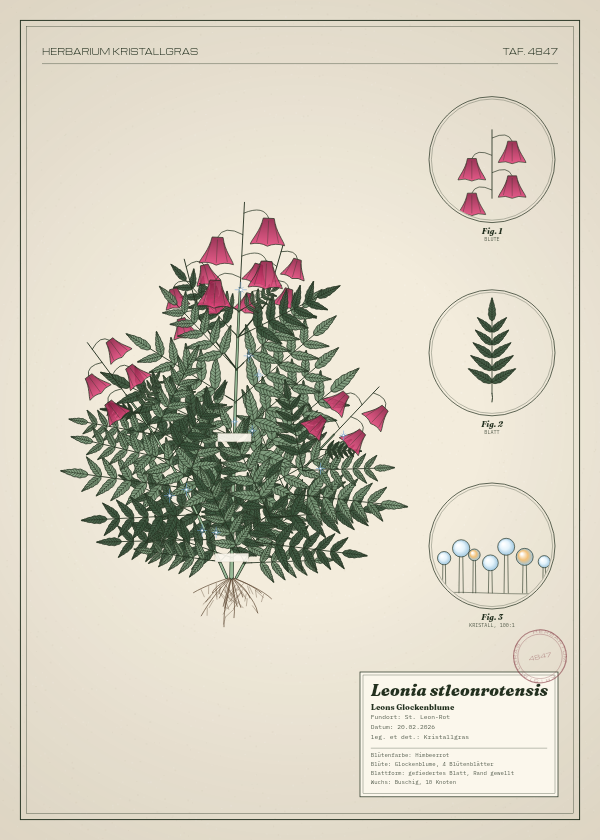Botanische Tafel: Leonia stleonrotensis, eine erfundene Pflanze aus St. Leon-Rot, gezeichnet wie in einem alten Pflanzenatlas