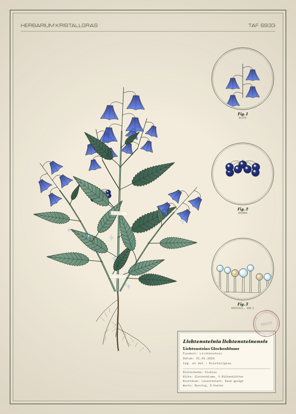 Botanische Tafel: Lichtensteinia lichtensteinensis, eine erfundene Pflanze aus Lichtenstein, gezeichnet wie in einem alten Pflanzenatlas