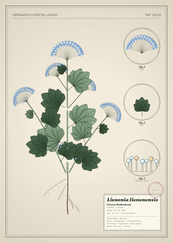 Botanische Tafel: Lienenia lienenensis, eine erfundene Pflanze aus Lienen, gezeichnet wie in einem alten Pflanzenatlas