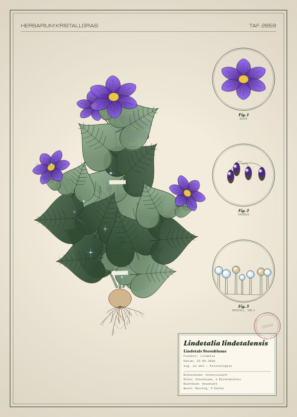 Botanische Tafel: Lindetalia lindetalensis, eine erfundene Pflanze aus Lindetal, gezeichnet wie in einem alten Pflanzenatlas