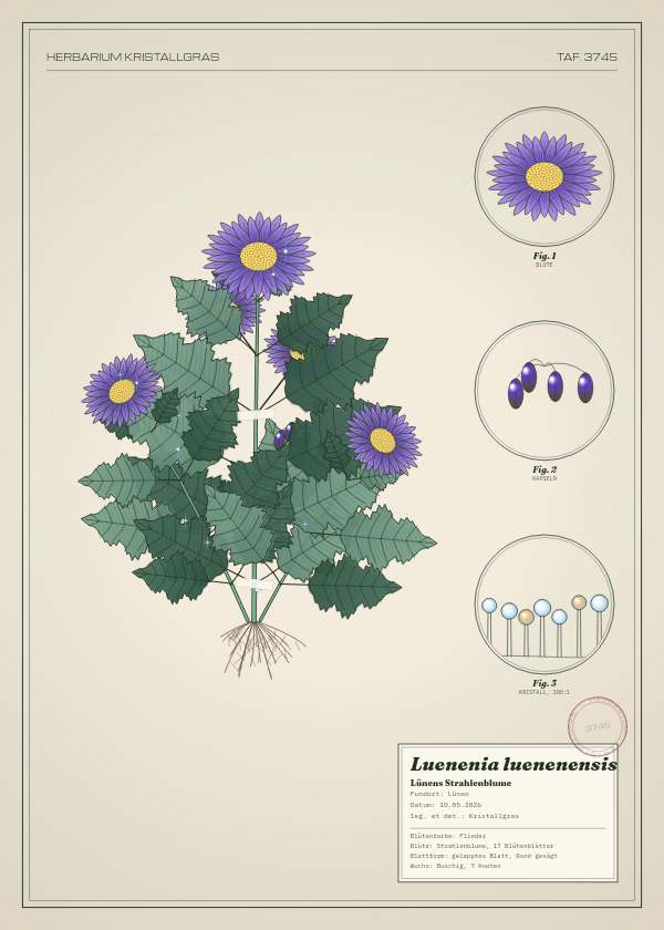 Botanische Tafel: Luenenia luenenensis, eine erfundene Pflanze aus Lünen, gezeichnet wie in einem alten Pflanzenatlas