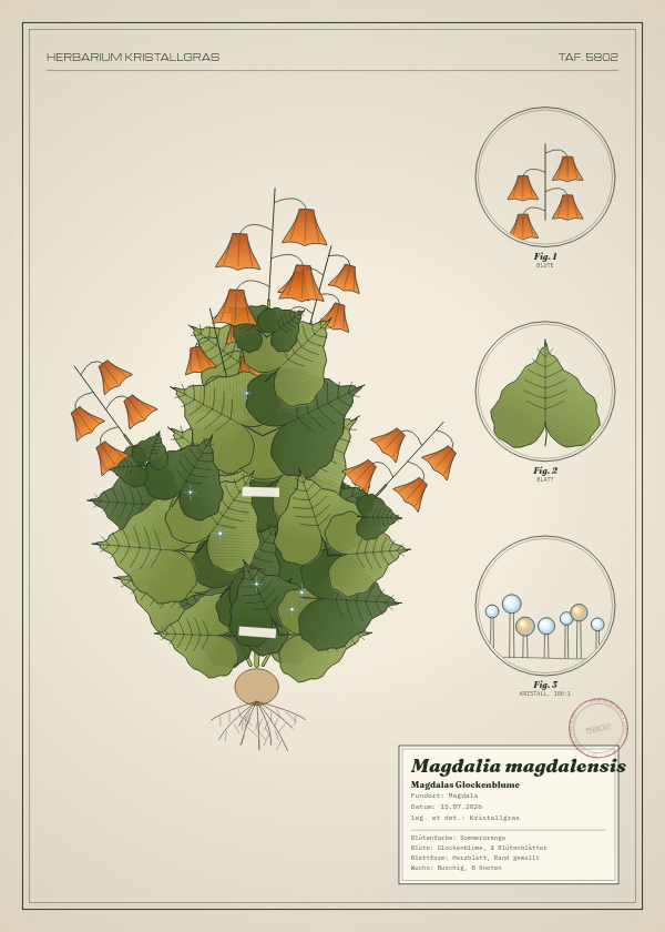 Botanische Tafel: Magdalia magdalensis, eine erfundene Pflanze aus Magdala, gezeichnet wie in einem alten Pflanzenatlas