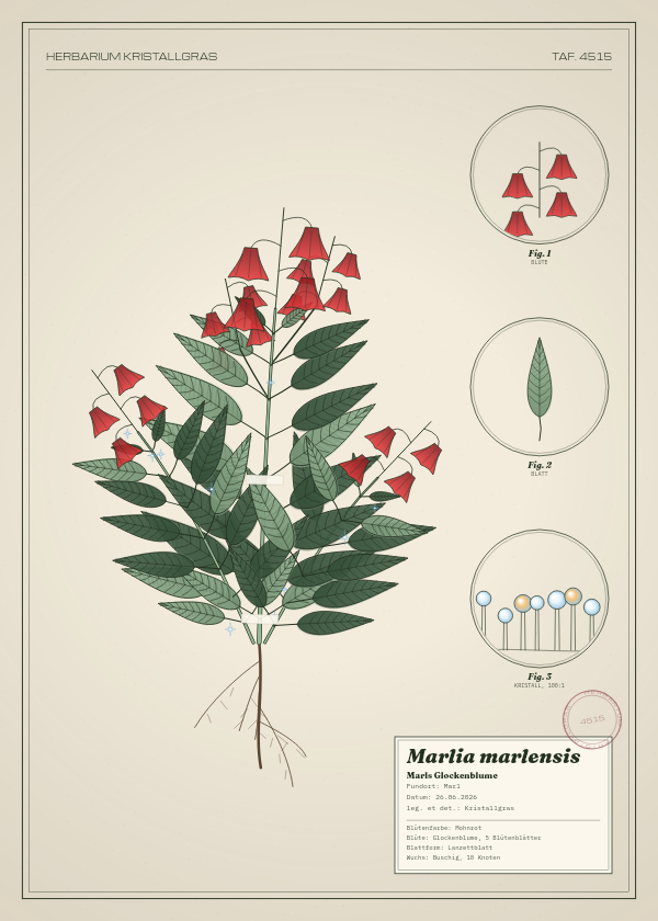 Botanische Tafel: Marlia marlensis, eine erfundene Pflanze aus Marl, gezeichnet wie in einem alten Pflanzenatlas