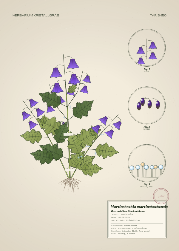 Botanische Tafel: Martinshoehia martinshoehensis, eine erfundene Pflanze aus Martinshöhe, gezeichnet wie in einem alten Pflanzenatlas