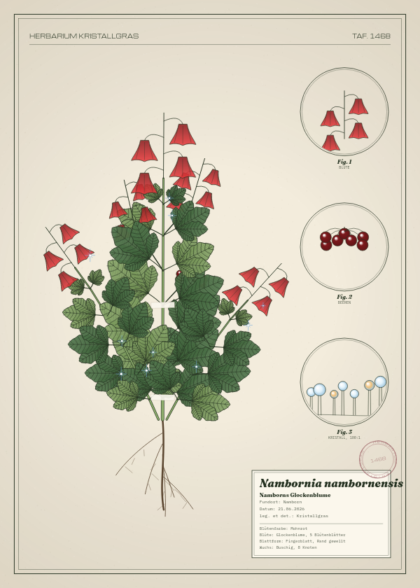 Botanische Tafel: Nambornia nambornensis, eine erfundene Pflanze aus Namborn, gezeichnet wie in einem alten Pflanzenatlas