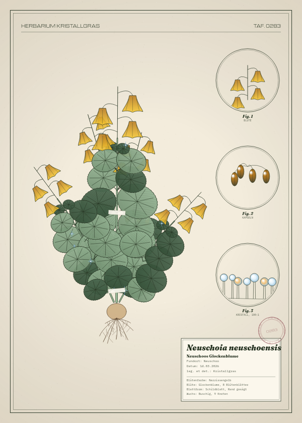 Botanische Tafel: Neuschoia neuschoensis, eine erfundene Pflanze aus Neuschoo, gezeichnet wie in einem alten Pflanzenatlas