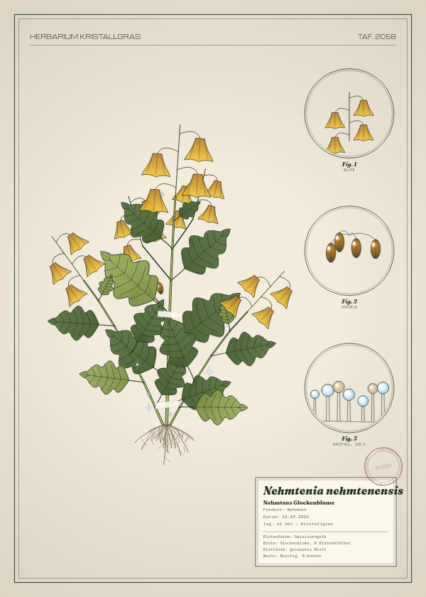 Botanische Tafel: Nehmtenia nehmtenensis, eine erfundene Pflanze aus Nehmten, gezeichnet wie in einem alten Pflanzenatlas