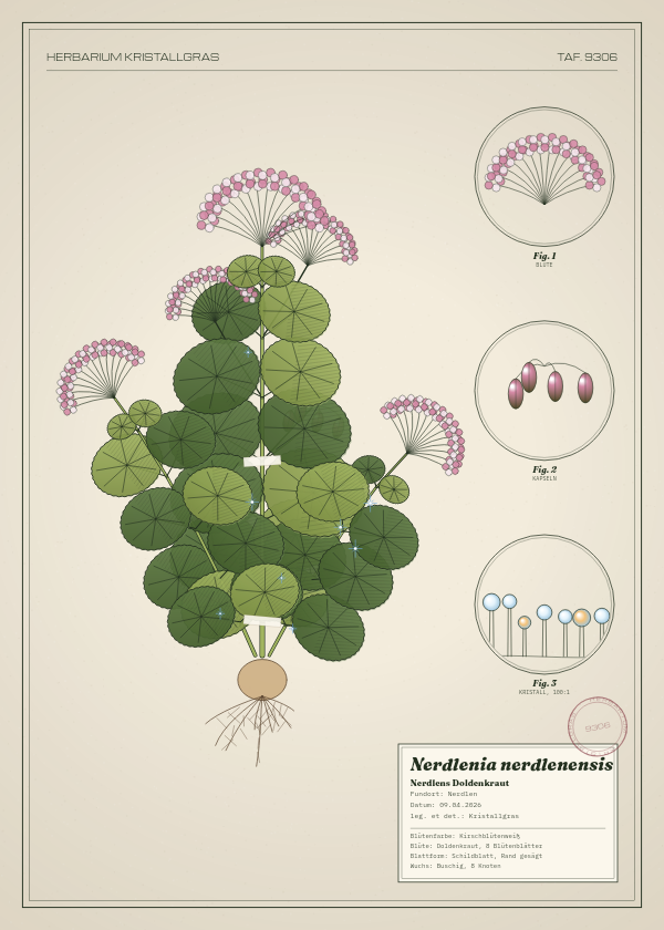 Botanische Tafel: Nerdlenia nerdlenensis, eine erfundene Pflanze aus Nerdlen, gezeichnet wie in einem alten Pflanzenatlas