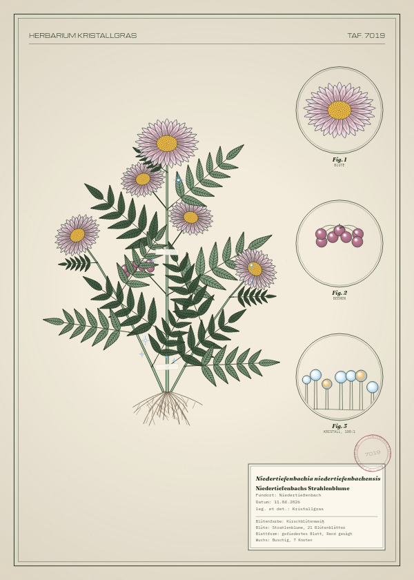 Botanische Tafel: Niedertiefenbachia niedertiefenbachensis, eine erfundene Pflanze aus Niedertiefenbach, gezeichnet wie in einem alten Pflanzenatlas