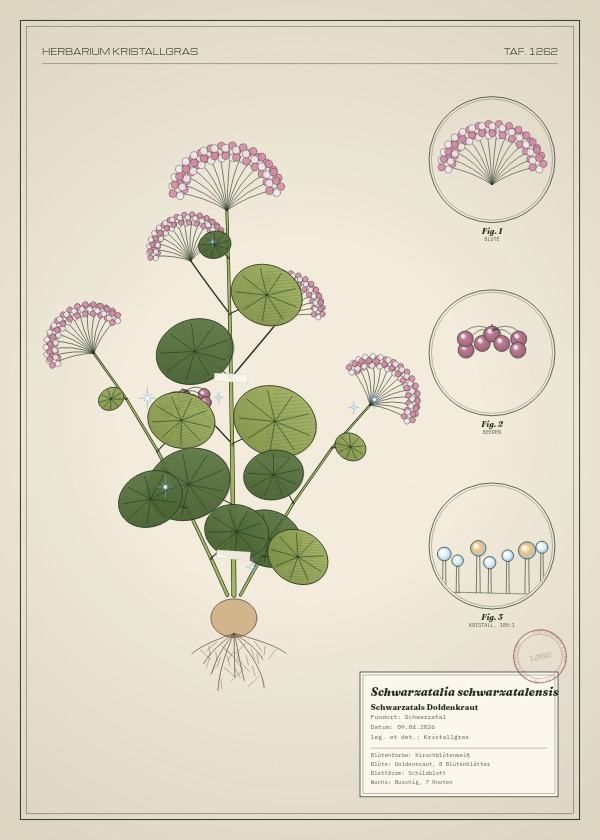 Botanische Tafel: Schwarzatalia schwarzatalensis, eine erfundene Pflanze aus Schwarzatal, gezeichnet wie in einem alten Pflanzenatlas