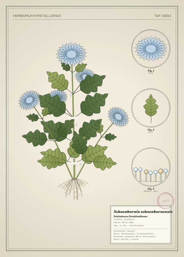 Botanische Tafel: Schoenbornia schoenbornensis, eine erfundene Pflanze aus Schönborn, gezeichnet wie in einem alten Pflanzenatlas