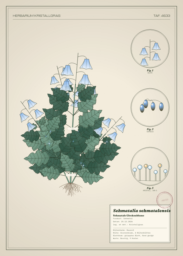 Botanische Tafel: Sehmatalia sehmatalensis, eine erfundene Pflanze aus Sehmatal, gezeichnet wie in einem alten Pflanzenatlas