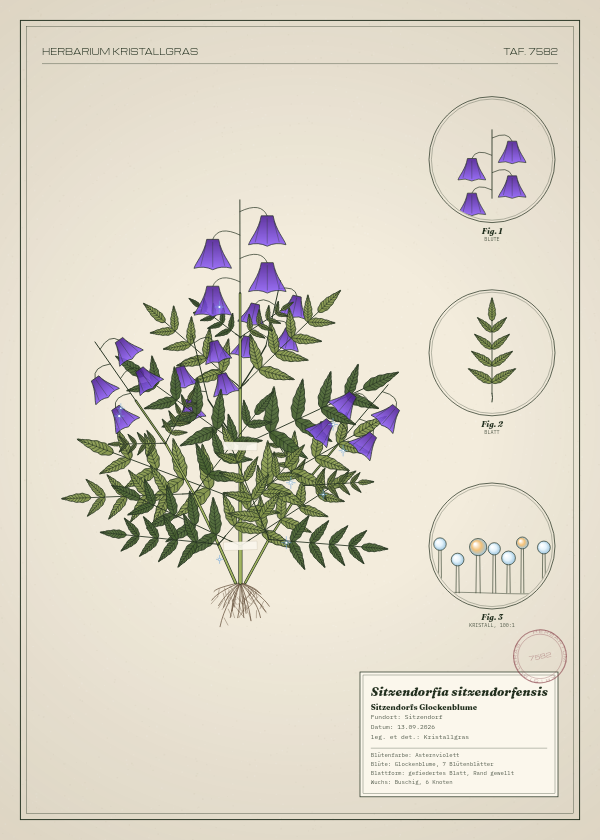 Botanische Tafel: Sitzendorfia sitzendorfensis, eine erfundene Pflanze aus Sitzendorf, gezeichnet wie in einem alten Pflanzenatlas