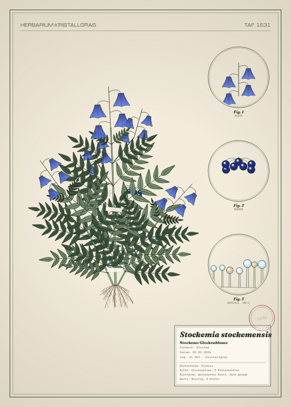 Botanische Tafel: Stockemia stockemensis, eine erfundene Pflanze aus Stockem, gezeichnet wie in einem alten Pflanzenatlas
