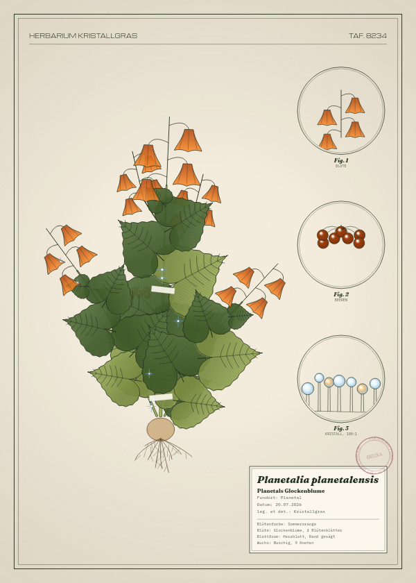 Botanische Tafel: Planetalia planetalensis, eine erfundene Pflanze aus Planetal, gezeichnet wie in einem alten Pflanzenatlas