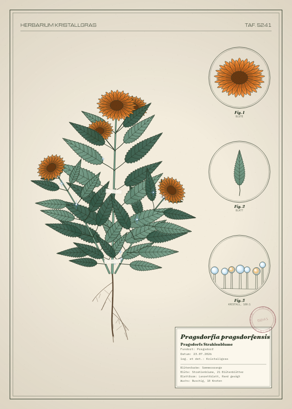 Botanische Tafel: Pragsdorfia pragsdorfensis, eine erfundene Pflanze aus Pragsdorf, gezeichnet wie in einem alten Pflanzenatlas