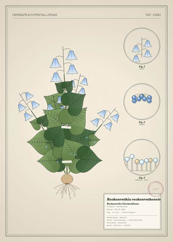 Botanische Tafel: Reckenrothia reckenrothensis, eine erfundene Pflanze aus Reckenroth, gezeichnet wie in einem alten Pflanzenatlas