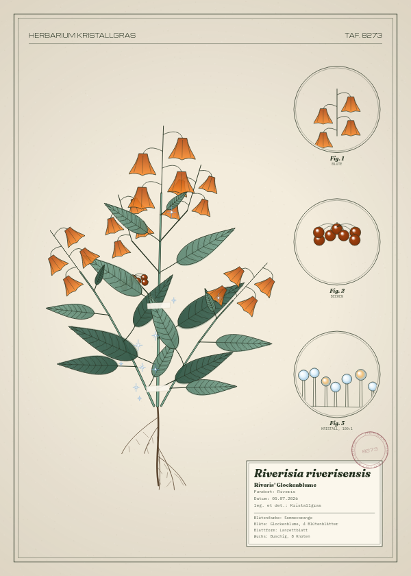 Botanische Tafel: Riverisia riverisensis, eine erfundene Pflanze aus Riveris, gezeichnet wie in einem alten Pflanzenatlas