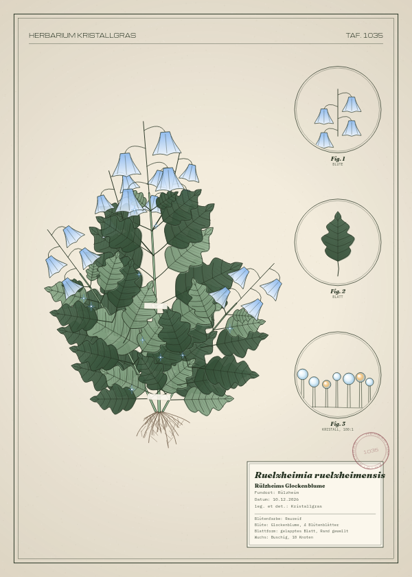 Botanische Tafel: Ruelzheimia ruelzheimensis, eine erfundene Pflanze aus Rülzheim, gezeichnet wie in einem alten Pflanzenatlas