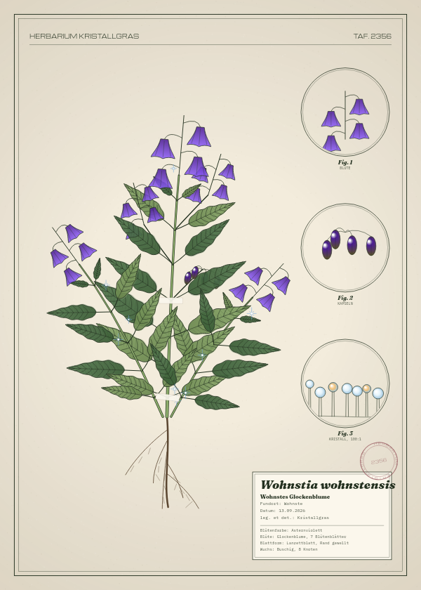 Botanische Tafel: Wohnstia wohnstensis, eine erfundene Pflanze aus Wohnste, gezeichnet wie in einem alten Pflanzenatlas