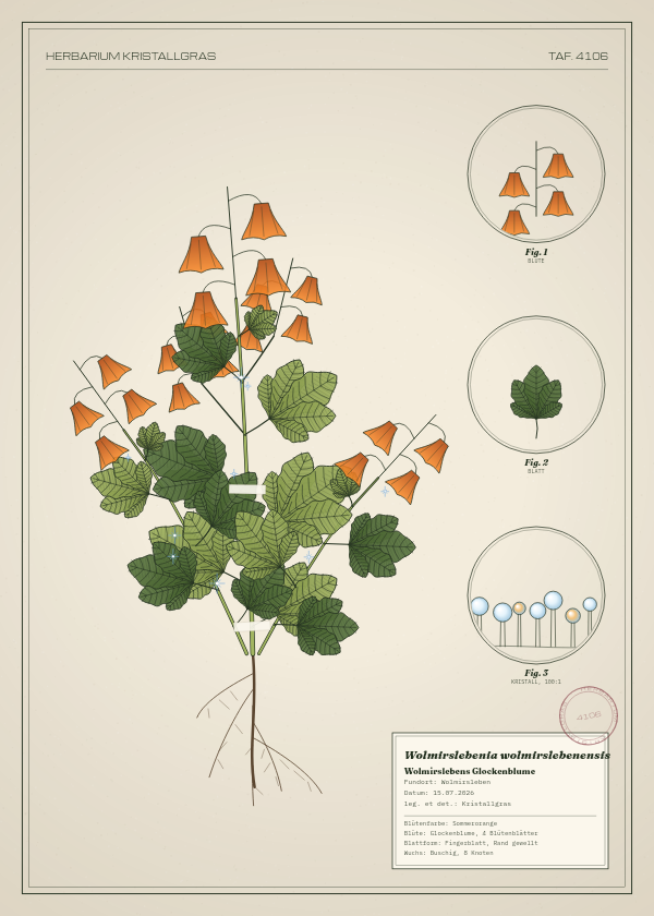 Botanische Tafel: Wolmirslebenia wolmirslebenensis, eine erfundene Pflanze aus Wolmirsleben, gezeichnet wie in einem alten Pflanzenatlas