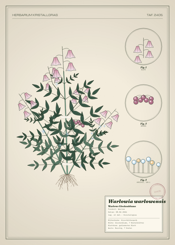Botanische Tafel: Warlowia warlowensis, eine erfundene Pflanze aus Warlow, gezeichnet wie in einem alten Pflanzenatlas